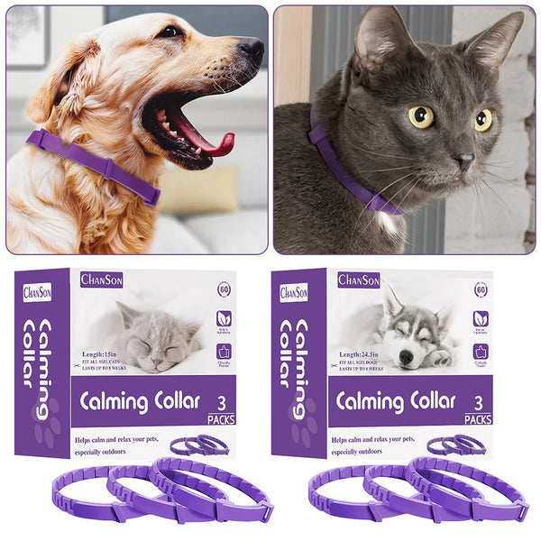 Purple calming pheromone collars for dogs and cats shown in various sizes and on animals