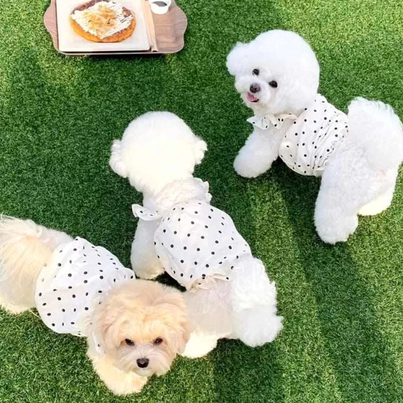 Polka Dot Summer Dog Dress with Suspender Straps