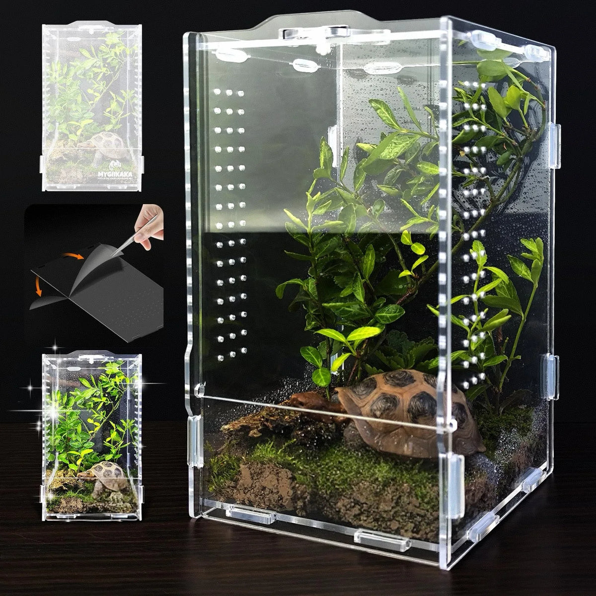 A clear acrylic reptile terrarium filled with moss and plants, featuring multiple ventilation holes.