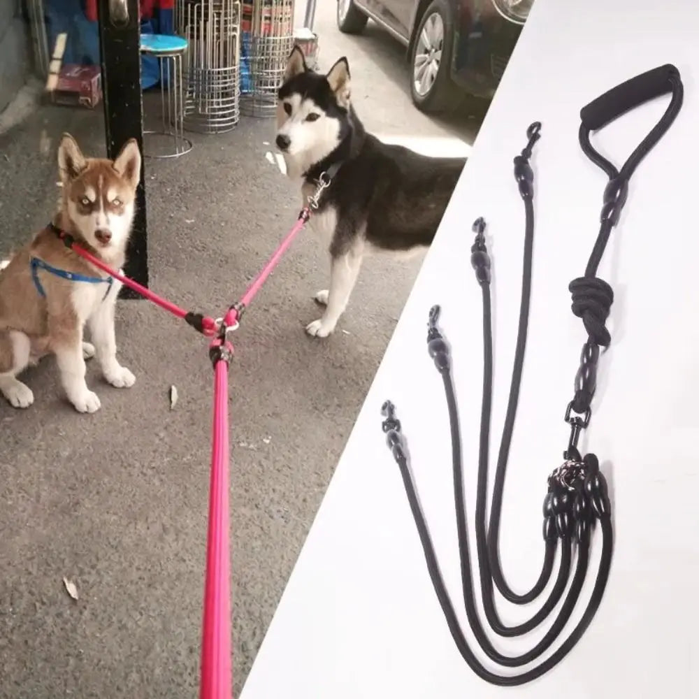 A black dual dog leash coupler with multiple straps is shown next to two dogs on a sidewalk.
