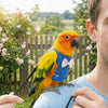 A male holding an orange and yellow parrot in an adjustable flying harness outdoors.