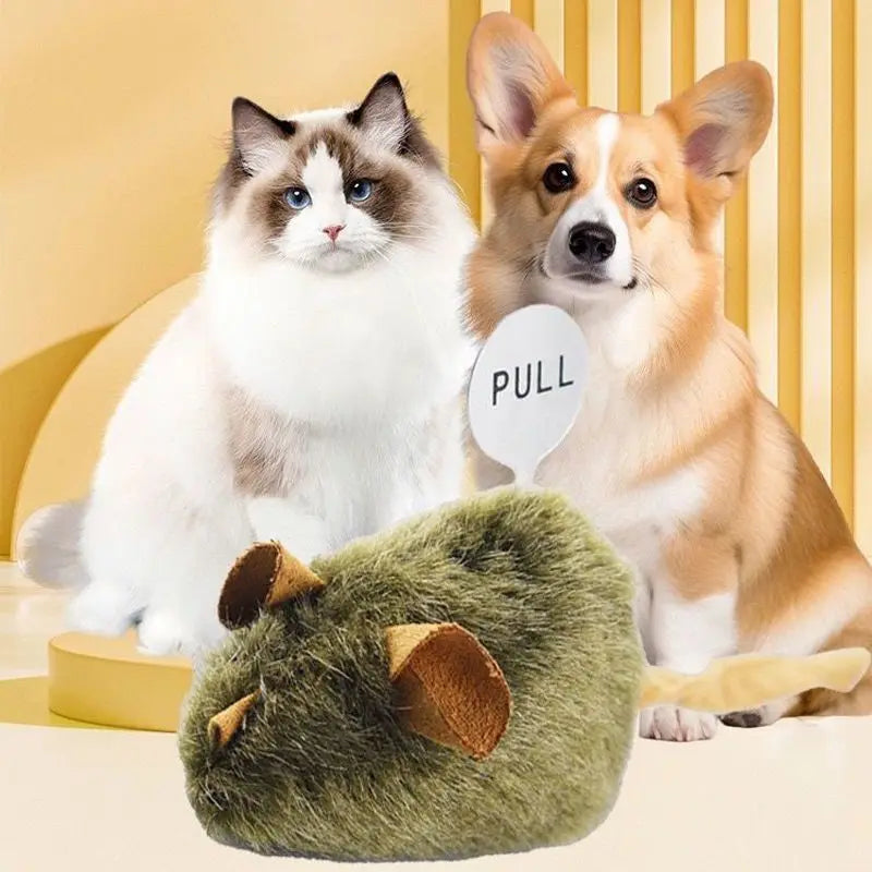 A fluffy white cat and a brown dog look at an interactive squeaky mouse plush toy.