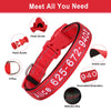 Personalisierte bestickte Nylon-Hundehalsband