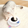 Interaktives 2-in-1 Katzenspielzeug mit Feder und Ball