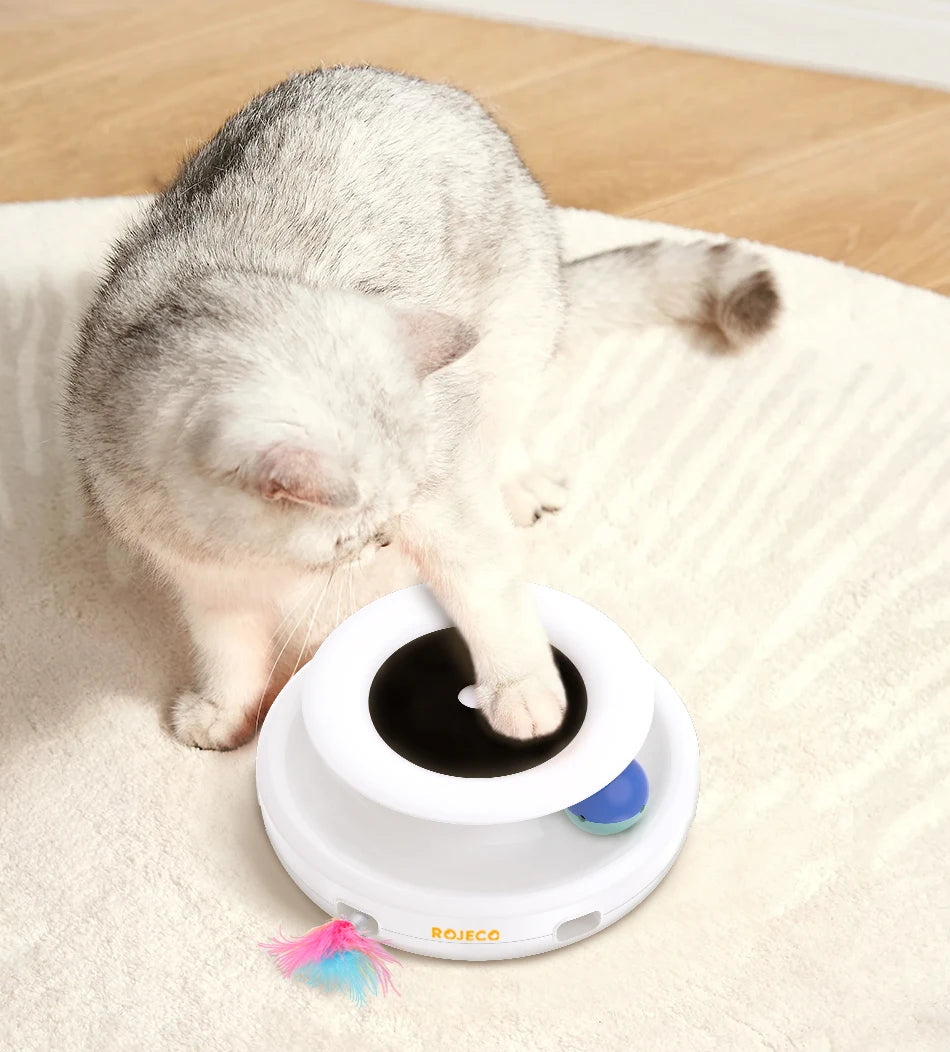 Eine kleine graue Kätzchen interagiert mit einem weißen interaktiven Spielzeug für Katzen mit Feder und Ball auf hellem Grund