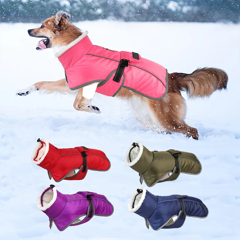 Reflective Winter Dog Coat with Insulated Lining