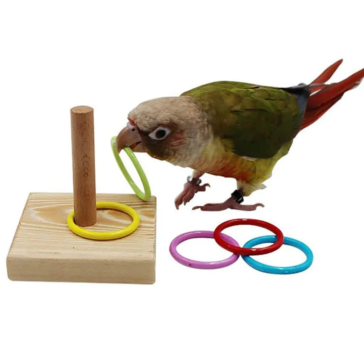 Bird Training Toys Set: Wooden Block Puzzle and Rings for Parrots