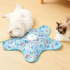 Interactive Hide-and-Seek Cat Toy with Feather Teaser