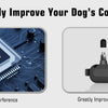 Collier Anti-Aboiements Rechargeable pour Chien