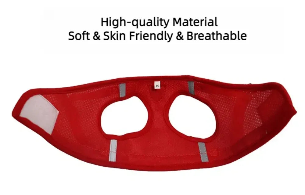 Adjustable Escape-Proof Mesh Harness and Leash Set for Cats and Small Dogs