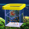 Floating Fish Breeding Box for Aquarium Hatchery & Isolation