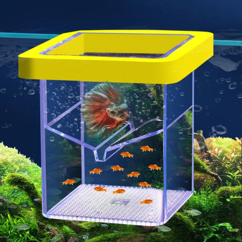 Floating Fish Breeding Box for Aquarium Hatchery & Isolation