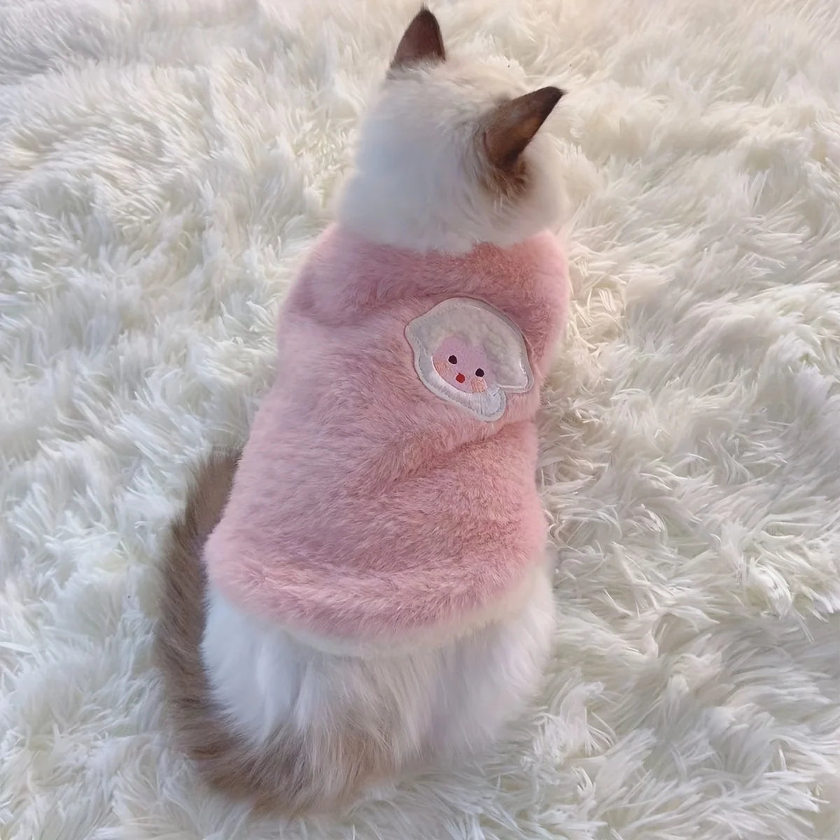 A fluffy white cat wearing a pink embroidered vest on a white, textured surface.