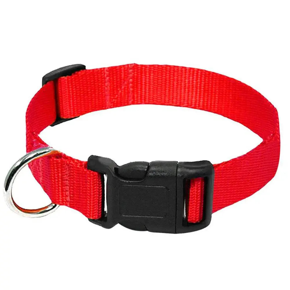 Red nylon dog collar with a black quick-release buckle