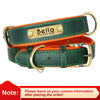 Personalisierte gepolsterte Leder-Hundehalsband mit graviertem Namensschild
