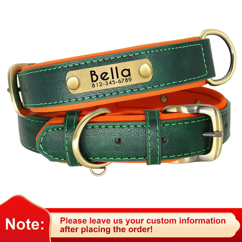 Personalisierte gepolsterte Leder-Hundehalsband mit graviertem Namensschild