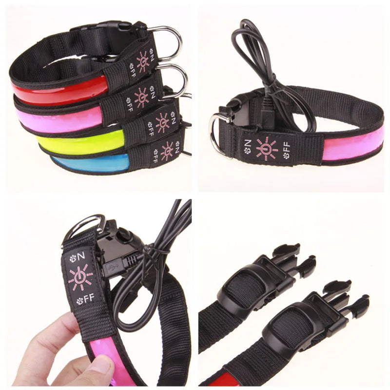 A set of USB rechargeable LED glow dog collars in various colors and styles shown from different angles.