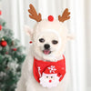 Christmas Pet Hat and Bandana Set for Cats and Small Dogs