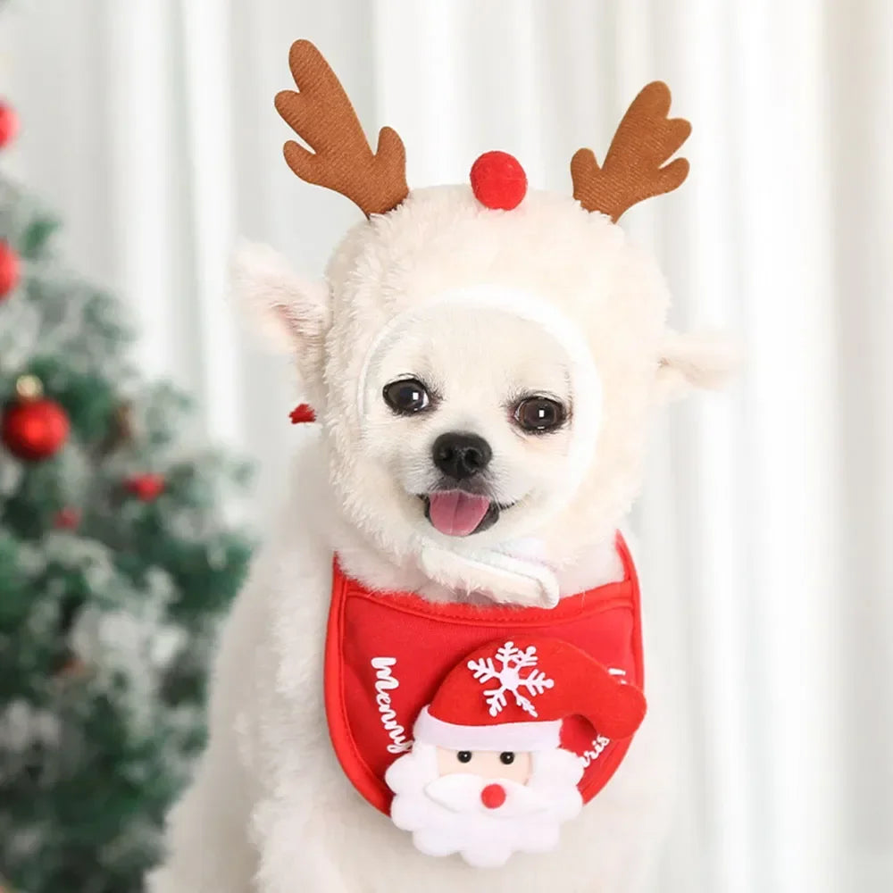 Christmas Pet Hat and Bandana Set for Cats and Small Dogs