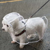 Clear Dog Raincoat with Button-Up Front
