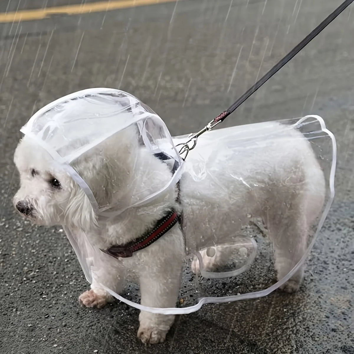 Clear Dog Raincoat with Button-Up Front