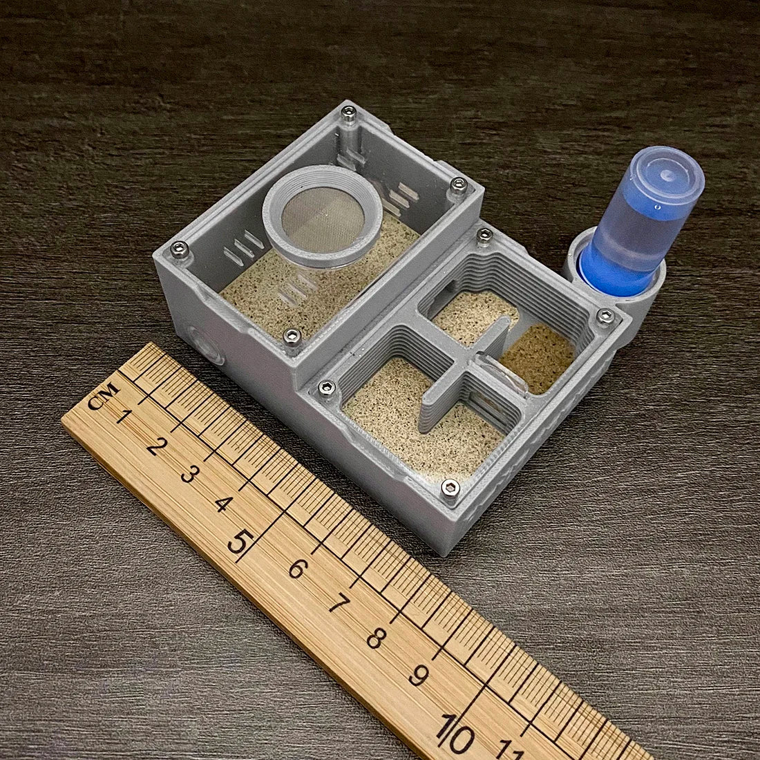 A clear plastic four-chamber observation farm box with a graduated ruler next to it.