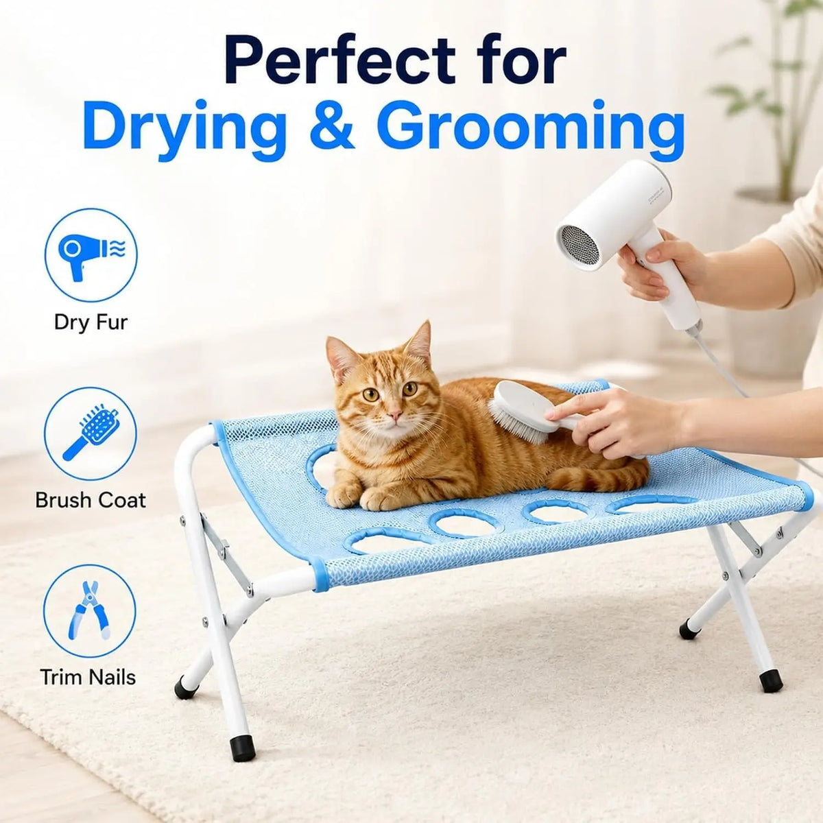 A cat is relaxing on a blue grooming hammock while a person uses a hairdryer and brush to groom it.