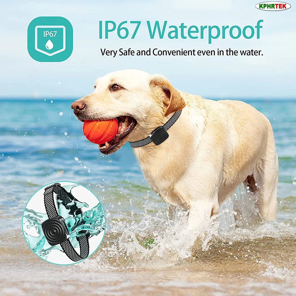 A golden dog is playing in the water with an IP67 waterproof anti-bark collar.