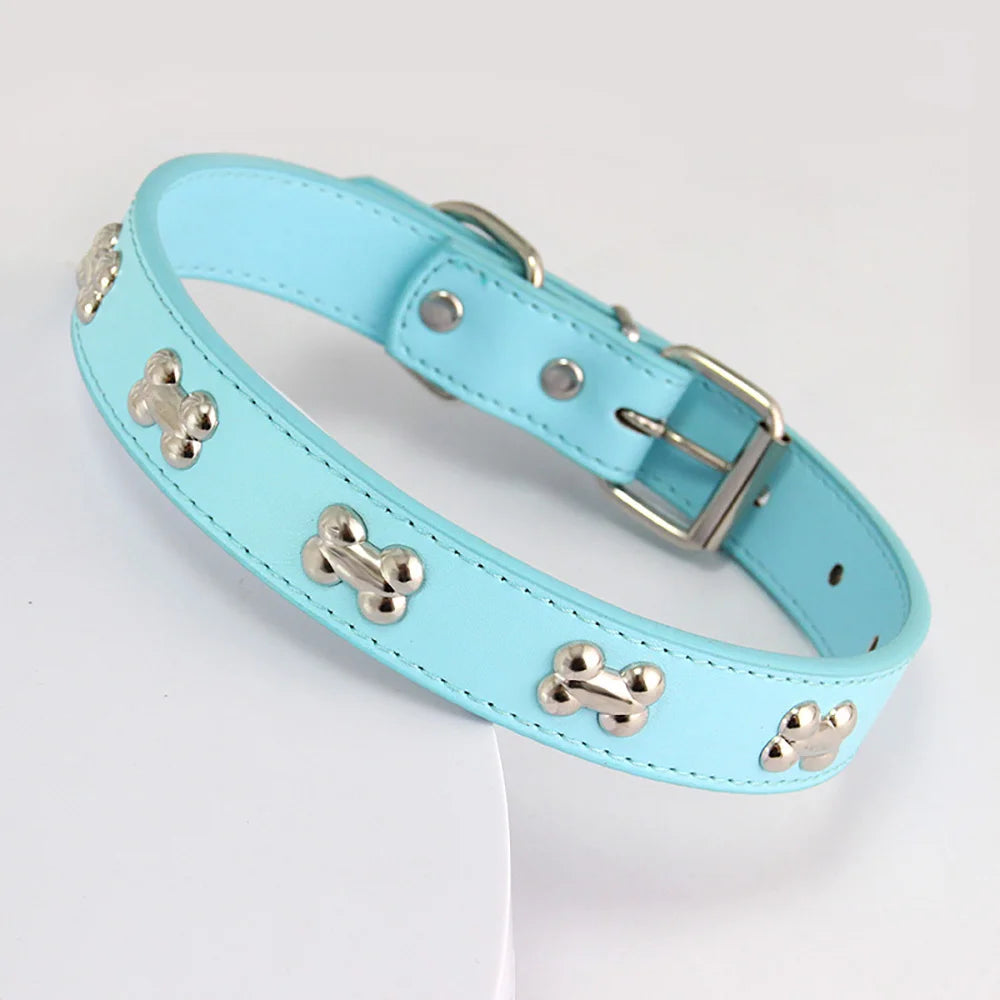 Light blue padded leather dog collar with silver bone rivets and buckle.