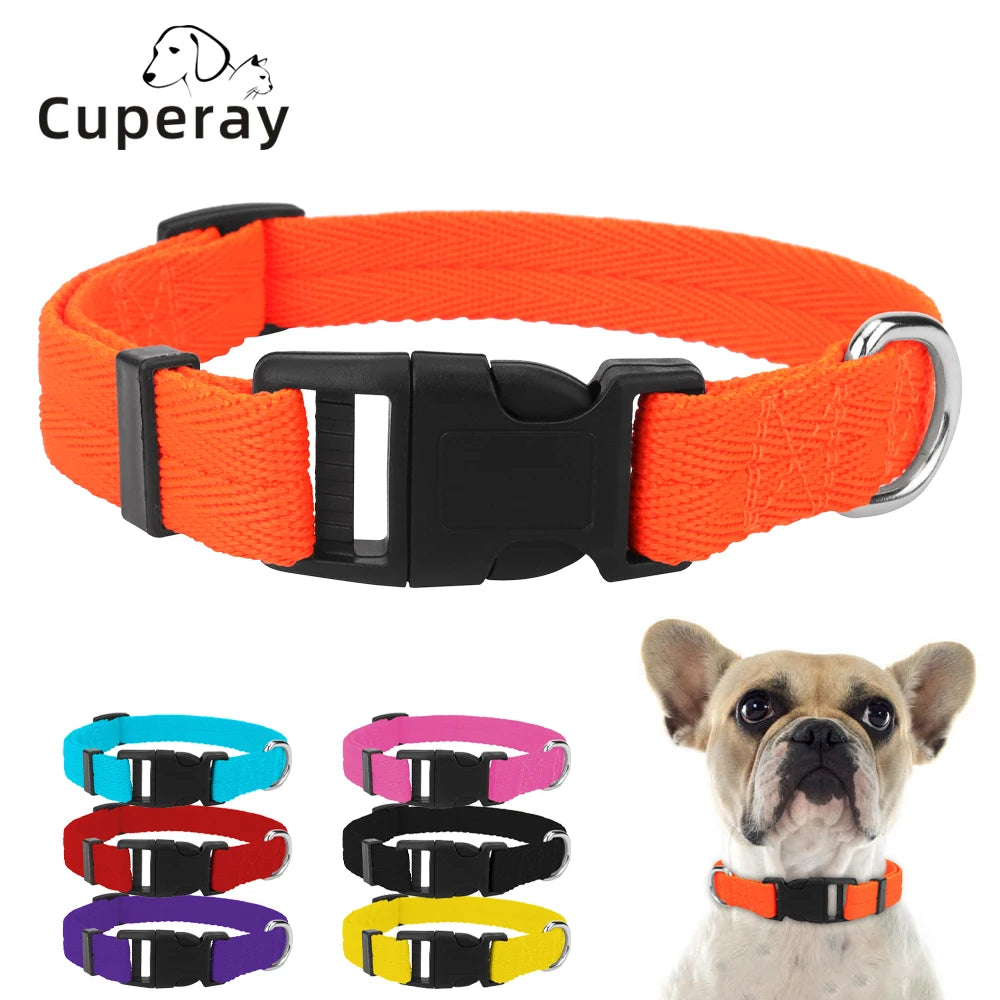 An orange nylon dog collar is shown with various colored buckles and a small dog wearing one.