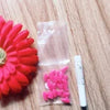 Colorful Soft Silicone Nail Caps for Cats and Dogs with Adhesive