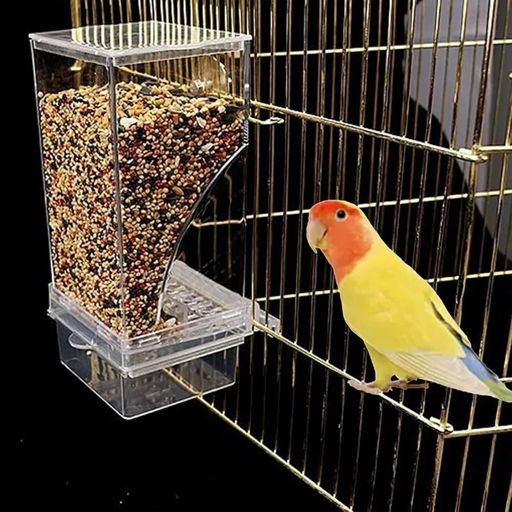 Stainless Steel Automatic Bird Feeder and Drinker for Parakeets