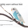 Elastic Parrot Training Leash with Metal Buckle