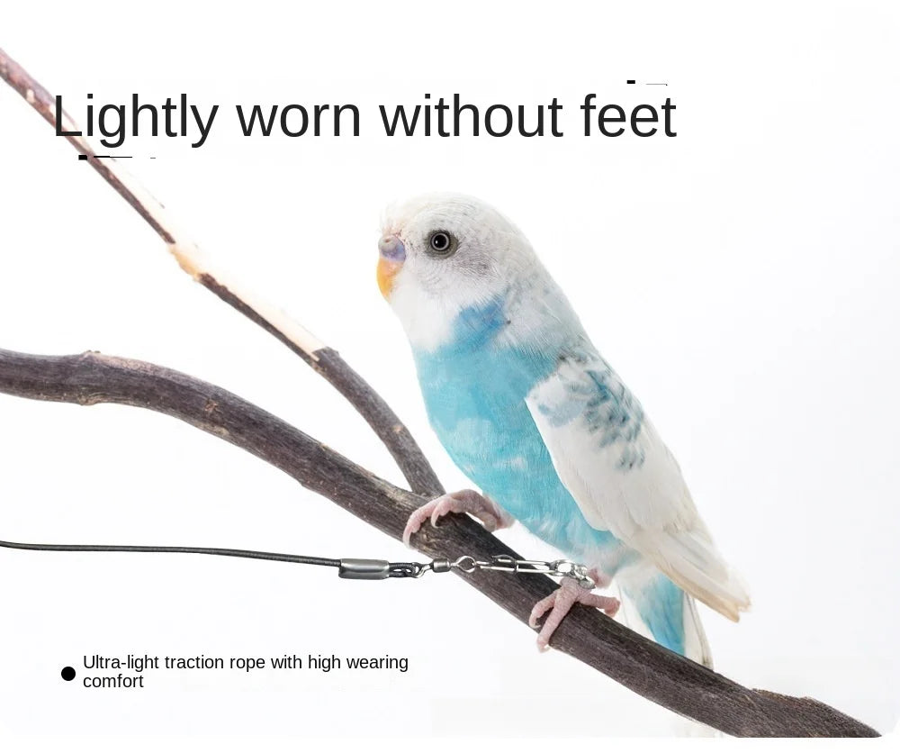 Elastic Parrot Training Leash with Metal Buckle