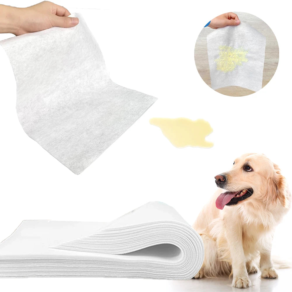 Pet Urine Absorbing Pads – Quick-Dry Disposable Cleaning Sheets