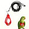 A red adjustable parrot harness and black elastic leash set with a green parrot.