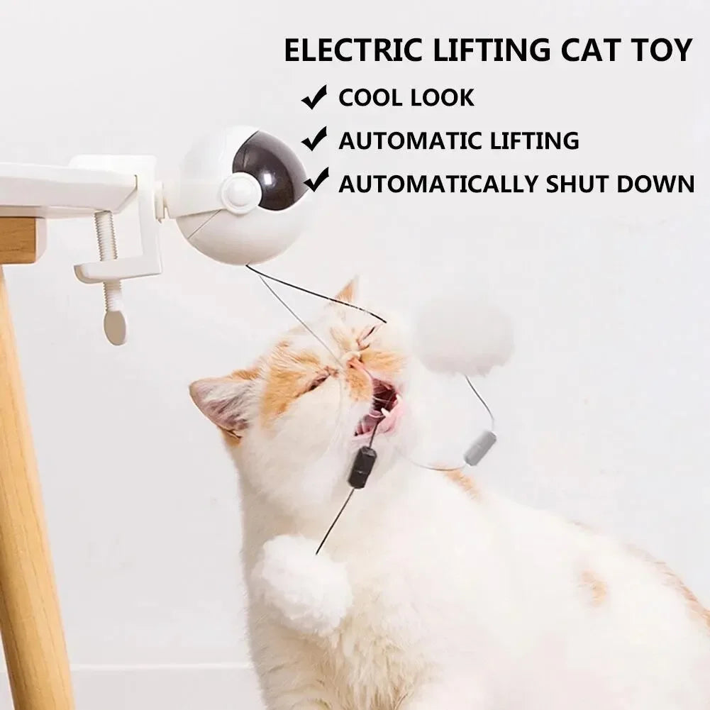 Elefantspielzeug, das mit Drähten den Kopf einer Katze hebt.