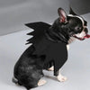Cat Bat Wing Costume Accessory with Adjustable Straps