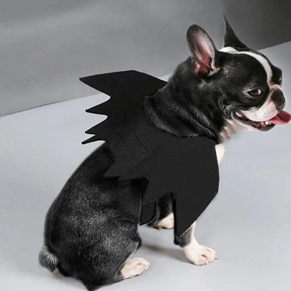 Cat Bat Wing Costume Accessory with Adjustable Straps