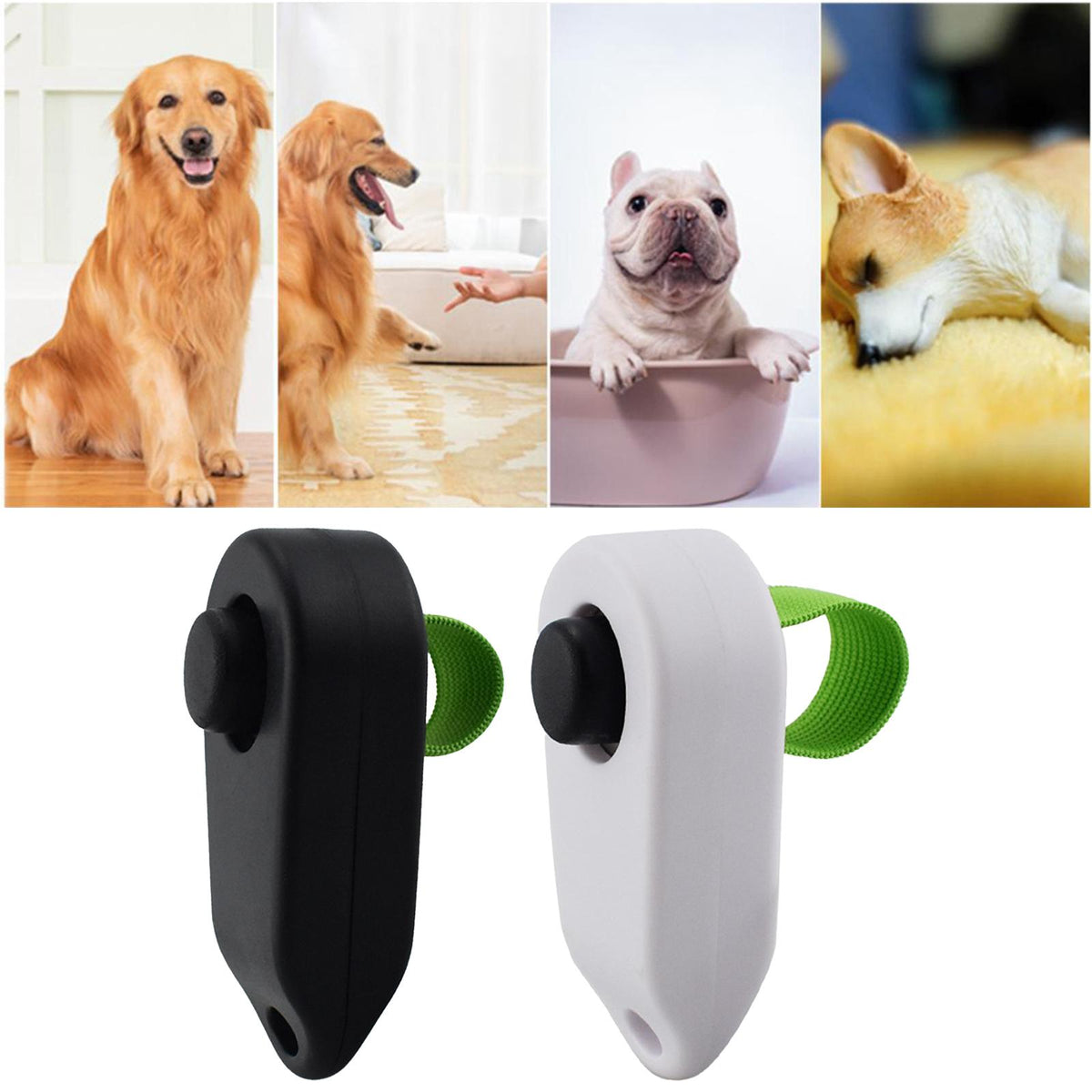 Un dispositif portable noir et blanc pour chien montré avec plusieurs chiens.