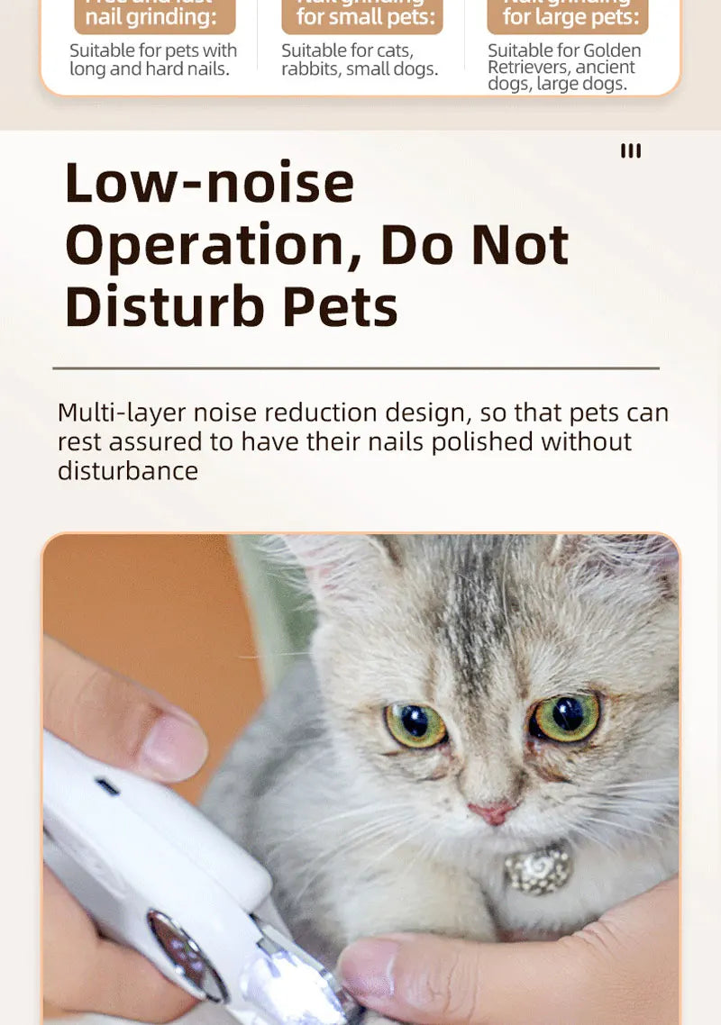 A hand is holding a white LED pet nail clipper and grinder near a small tabby cat.