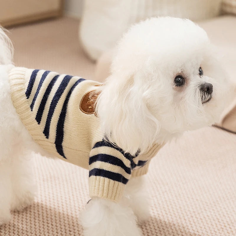 A white fluffy dog wearing a striped beige and navy knit sweater.