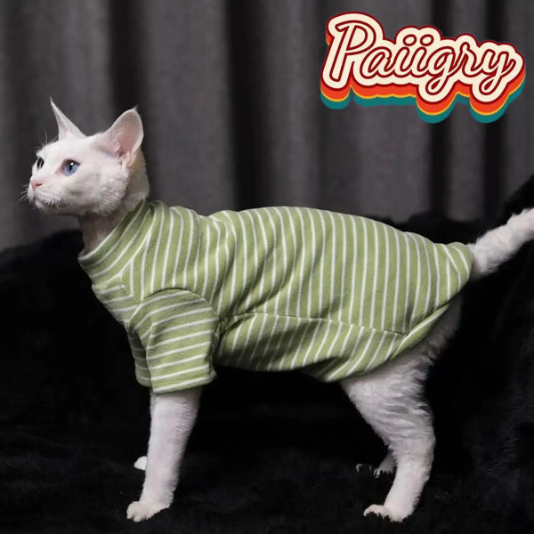 A white cat wearing a green striped cotton vest is photographed against a dark background.
