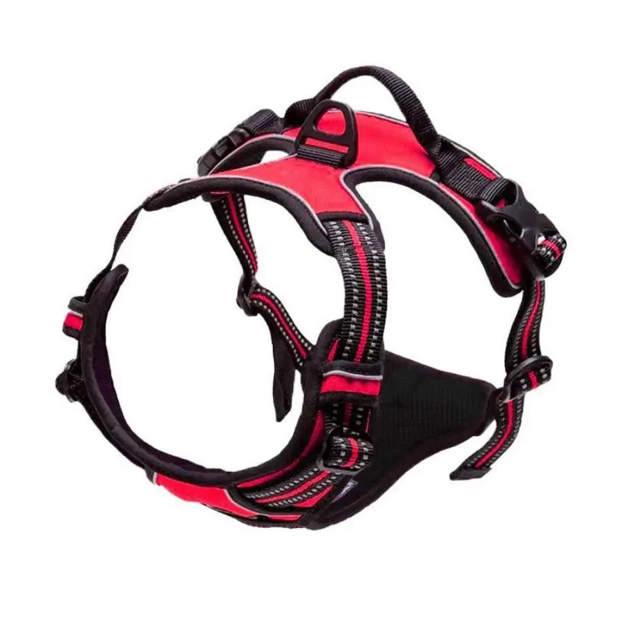 Rotes und schwarzes, robustes Frontclip-Hundgeschirr für einen Hund.