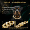 Luxury Gold Stainless Steel Dog Collar with Diamond Inlay