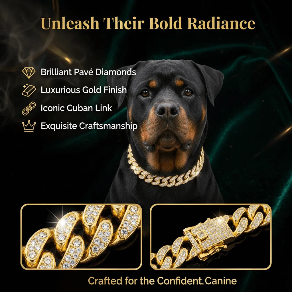 Luxury Gold Stainless Steel Dog Collar with Diamond Inlay