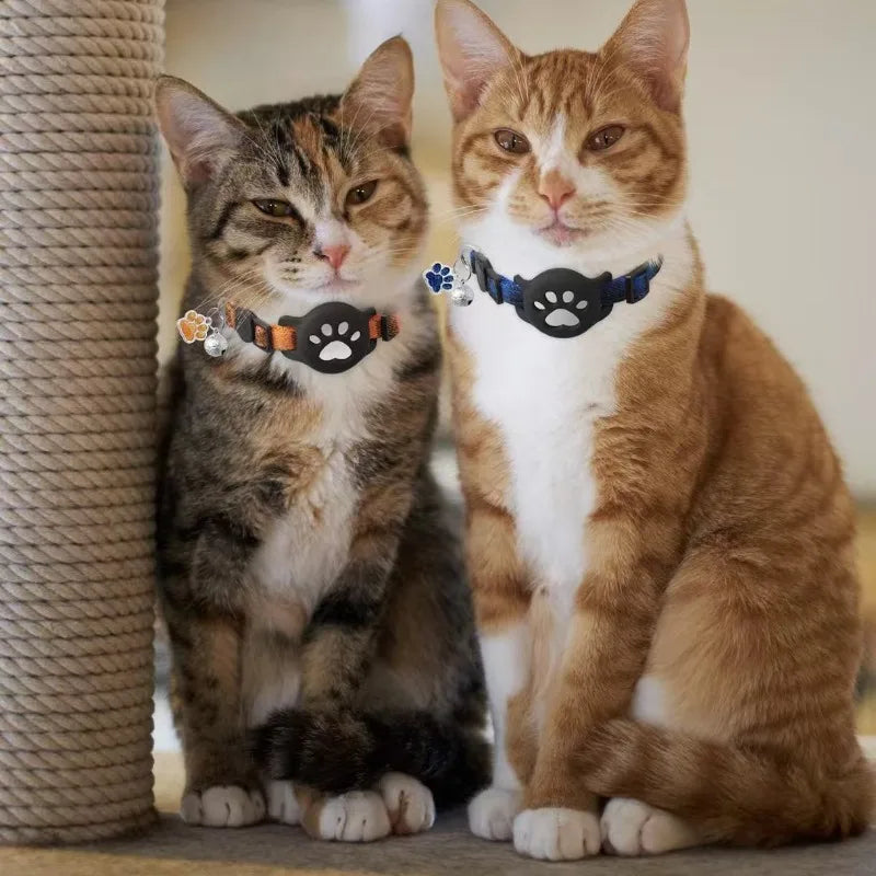 Two tabby cats wearing black adjustable collars with airtag holders and bells