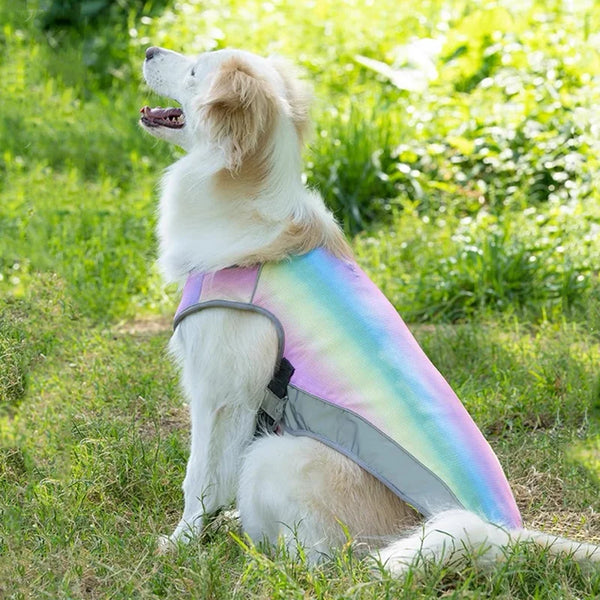 A light-colored dog is lying down in grass wearing a multi-colored cooling vest.