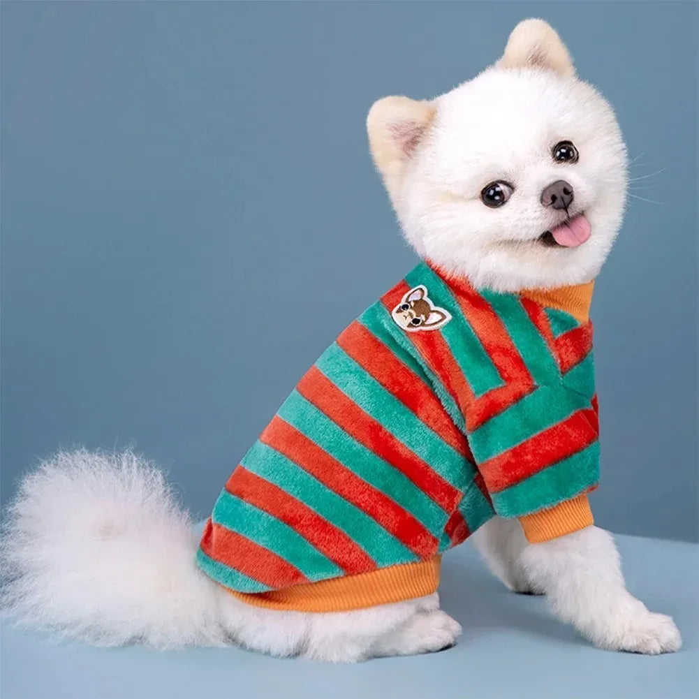 A white dog wearing a striped orange and green flannel sweater.