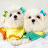 Pet Hair Bows with Rubber Bands - Assorted Styles for Small Dogs and Cats